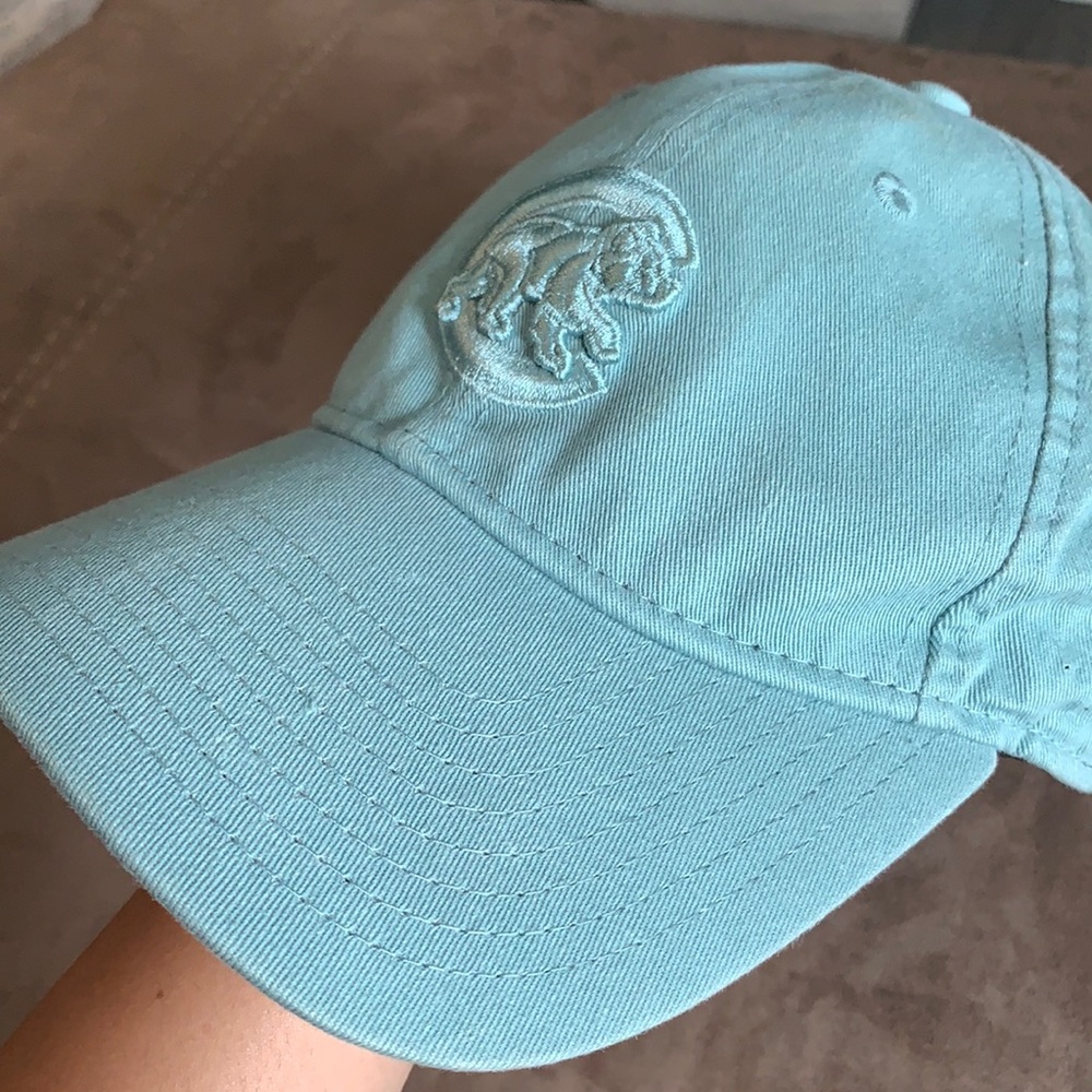 Teal MLB Cubs hat!